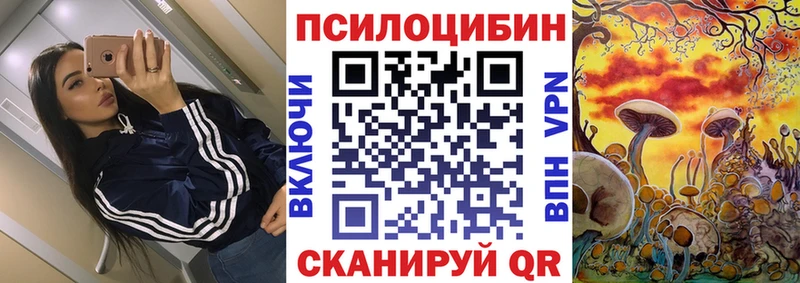 Галлюциногенные грибы Psilocybe  kraken рабочий сайт  Тайга  наркота 